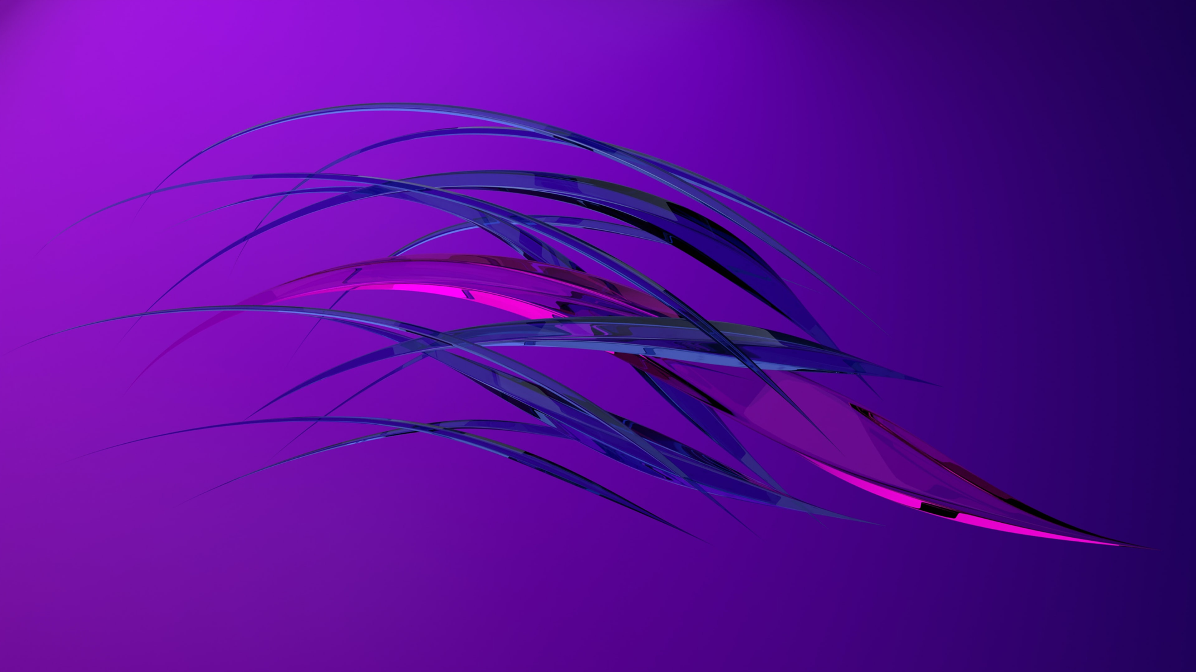 Web Development Web development